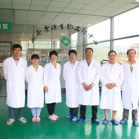 团队核心成员