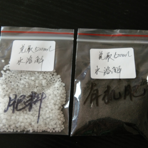 野生中药大叶仙茅（ 独茅根）种苗、仙茅盆栽、肥料