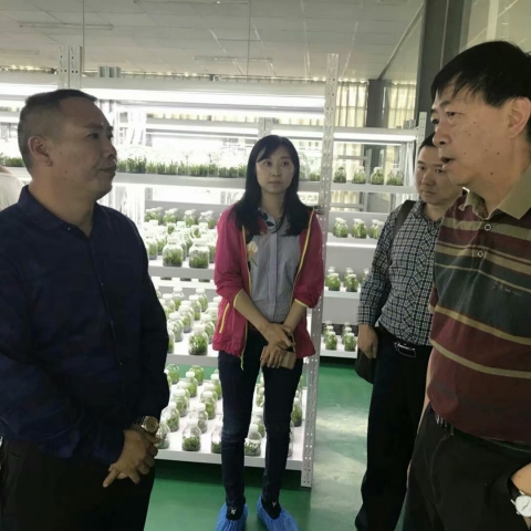 道地药材评审专家来我司对枳壳道地性进行评审