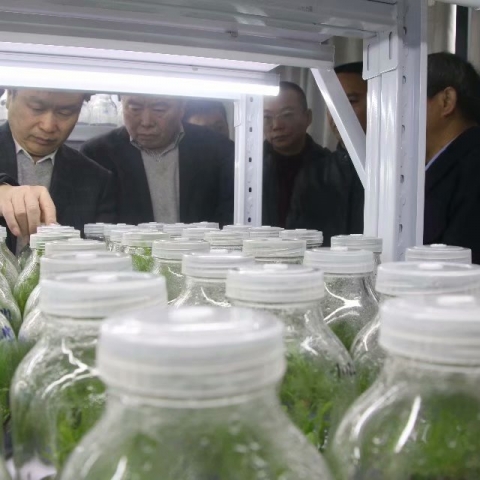 湖南省经济和信息化委员会副主任黄宝林率队赴安仁开展中药材产业调研